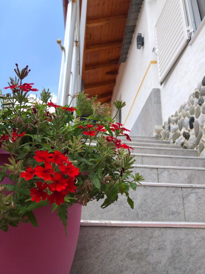 Hotel Apostoli Пермет Екстер'єр фото